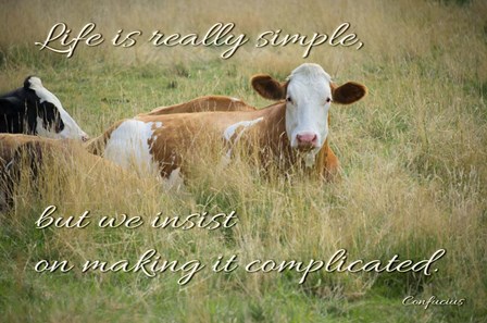 Life Is Simple by Cora Niele art print