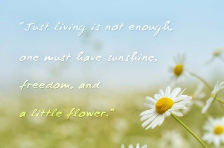 Little Flower by Cora Niele art print