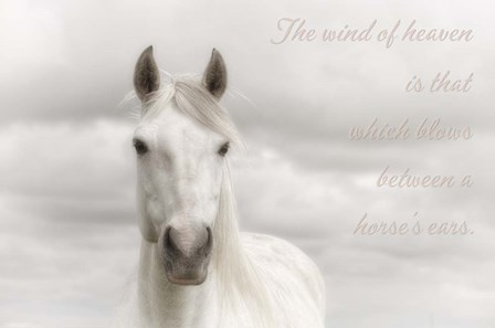 Wind Of Heaven by Cora Niele art print