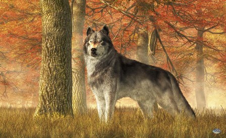 A Wolf In Autumn by Daniel Eskridge art print