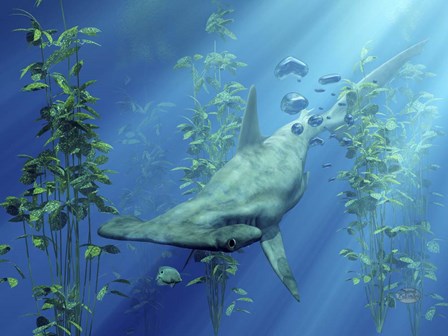 Hammerhead Art by Daniel Eskridge art print