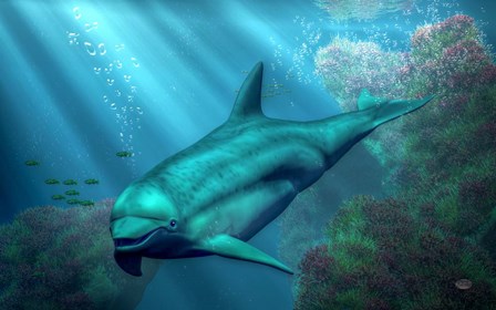 Smiling Dolphin by Daniel Eskridge art print