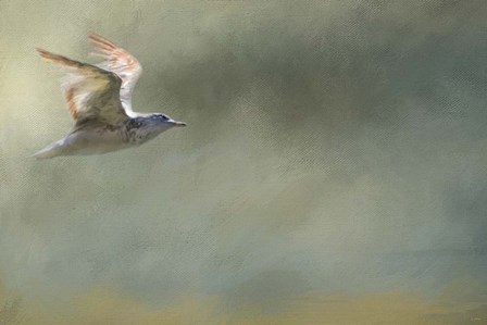 A Day At The Beach 2 by Jai Johnson art print