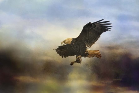 Dramatic Entrance by Jai Johnson art print