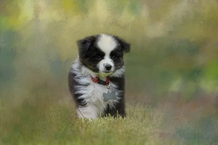 Puppyhood 1 by Jai Johnson art print