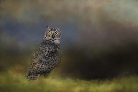 A Night With The Great Horned Owl 4 by Jai Johnson art print