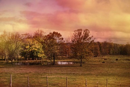 Autumn At The Cattle Farm by Jai Johnson art print