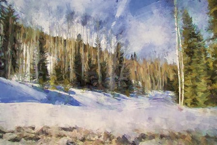 Colorado Color Splash 3 by Jai Johnson art print