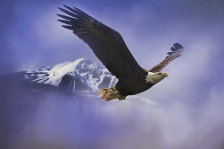 Fishing In Winter by Jai Johnson art print