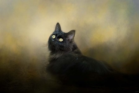 In The Garden Light by Jai Johnson art print