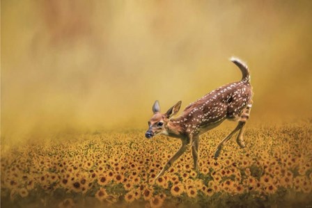 Romping In The Sunflower Field by Jai Johnson art print