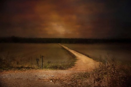 Sunset Road by Jai Johnson art print