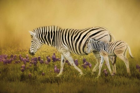 Through The Meadow by Jai Johnson art print