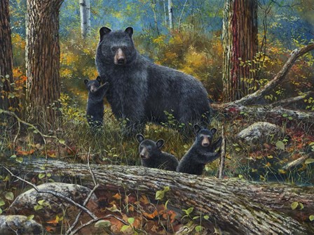 Age of Wonder by Jim Hansel art print
