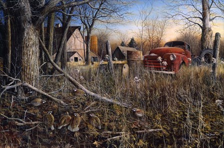 Back Forty Bobwhites 100 by Jim Hansel art print
