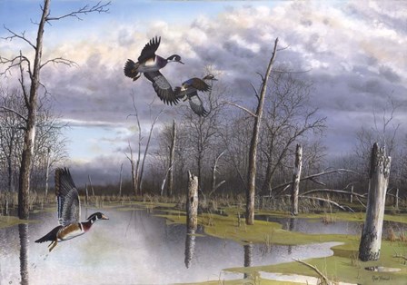 Backwater Woodies by Jim Hansel art print