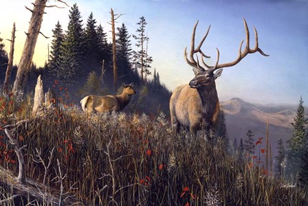 Big Sky Monarch by Jim Hansel art print