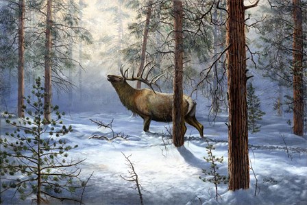 Breaking The Silence by Jim Hansel art print