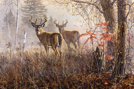 Double Vision by Jim Hansel art print