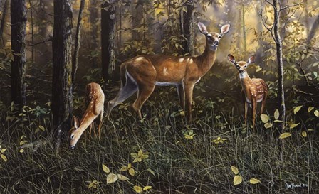 Emerald Forest by Jim Hansel art print