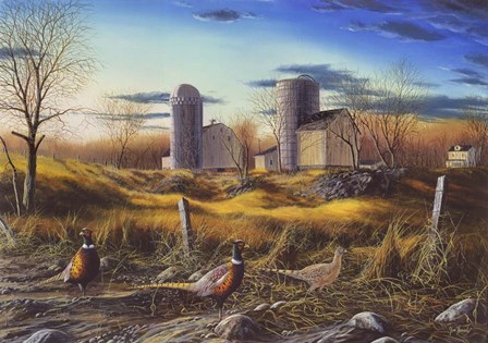 Fenceline Ringnecks by Jim Hansel art print