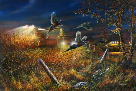 Field Of Dreams by Jim Hansel art print