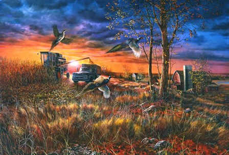 Harvest Ringnecks by Jim Hansel art print