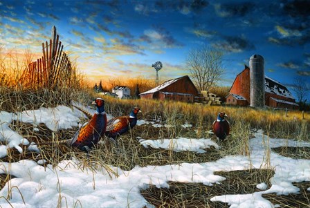 Harvest Rooster by Jim Hansel art print