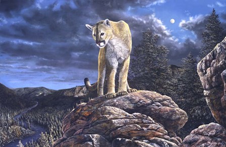 Midnight Watch by Jim Hansel art print
