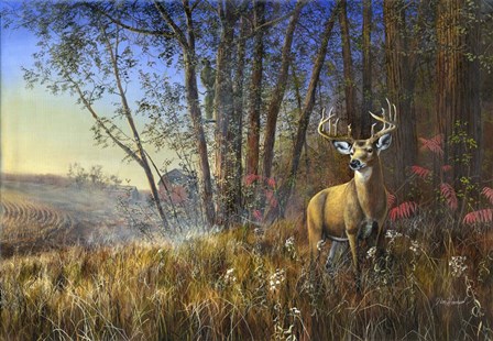 Misty Morning by Jim Hansel art print
