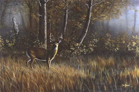 Morning Whitetail by Jim Hansel art print