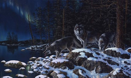 Night Lights by Jim Hansel art print