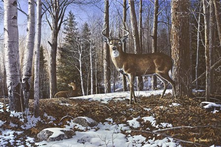 North Ridge Whitetails by Jim Hansel art print