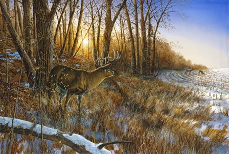 Passing The Buck by Jim Hansel art print