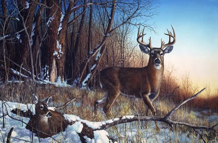 Resting Place by Jim Hansel art print