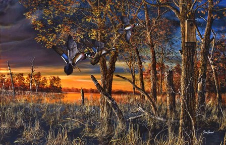 Return to the Refuge by Jim Hansel art print