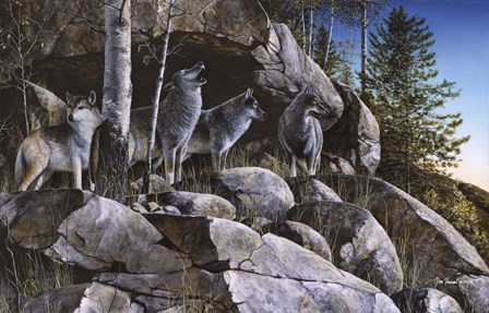 Rocky Outpost by Jim Hansel art print