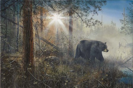 Shadow In The Mist by Jim Hansel art print