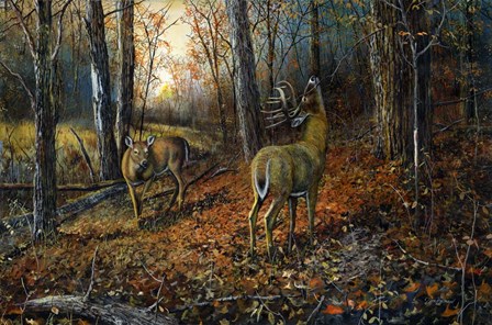 Signs of Autumn by Jim Hansel art print
