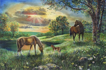 Spirit by Jim Hansel art print
