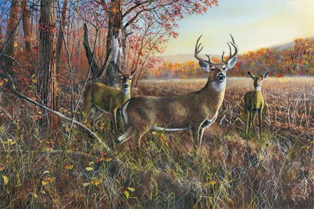 The Gathering by Jim Hansel art print