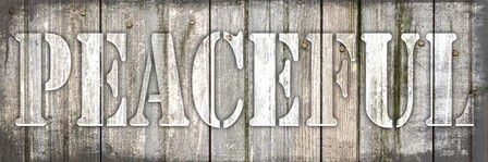 Country Sign V1 2 by LightBoxJournal art print