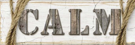 Country Wood Sign V3 2 by LightBoxJournal art print