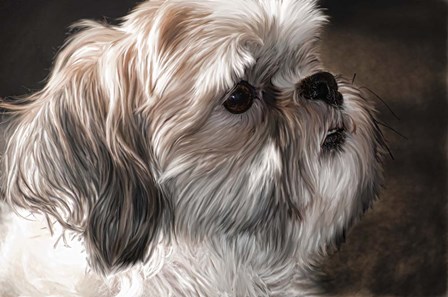 Llahso Apso by Lori Hutchison art print
