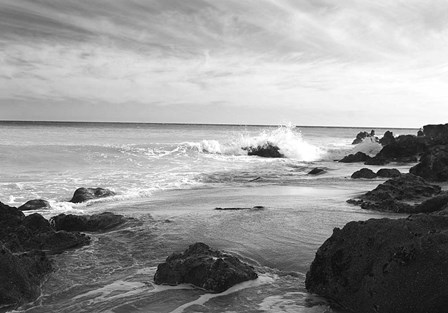 Point Dume by Lori Hutchison art print