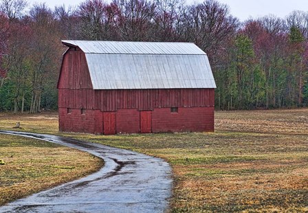 Red Barn by Lori Hutchison art print