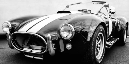 Black Cobra by Gasoline Images art print