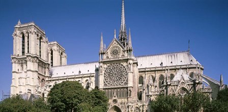 View of the Notre Dame, Paris, Ile-De-France, France by Panoramic Images art print