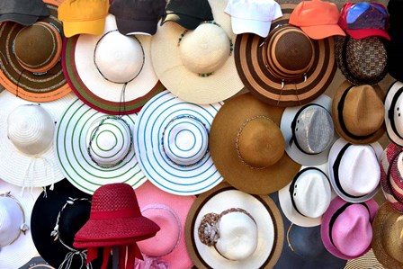 Hats Hats Hats by Ramona Murdock art print