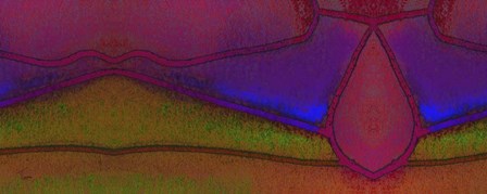 Compartmentalization by Tina Lavoie art print